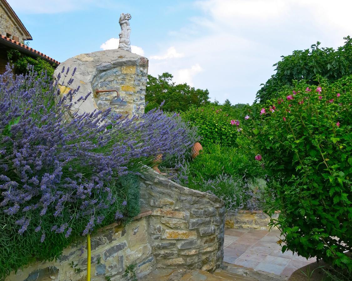 Fonte Magia Bed and Breakfast Castel de' Fiori Exteriör bild