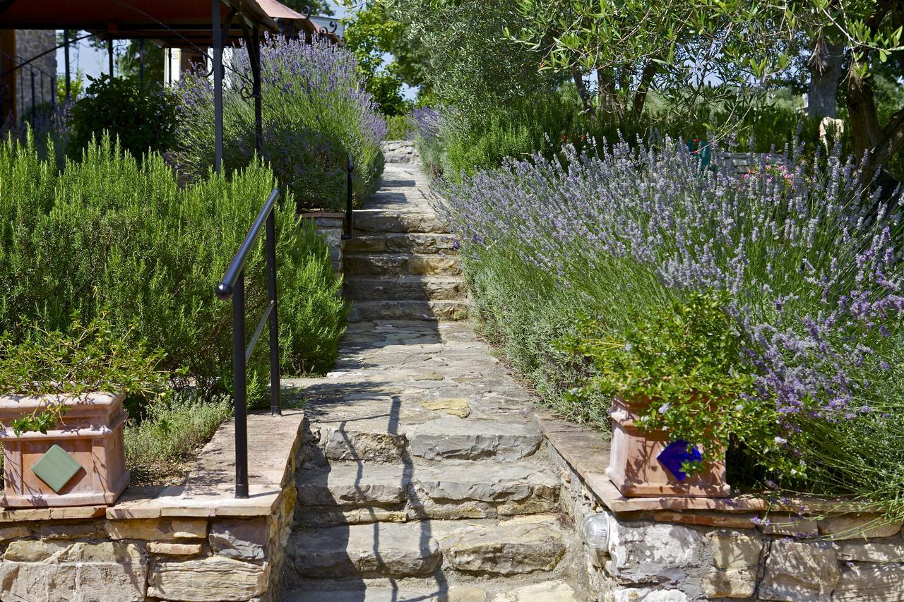 Fonte Magia Bed and Breakfast Castel de' Fiori Exteriör bild