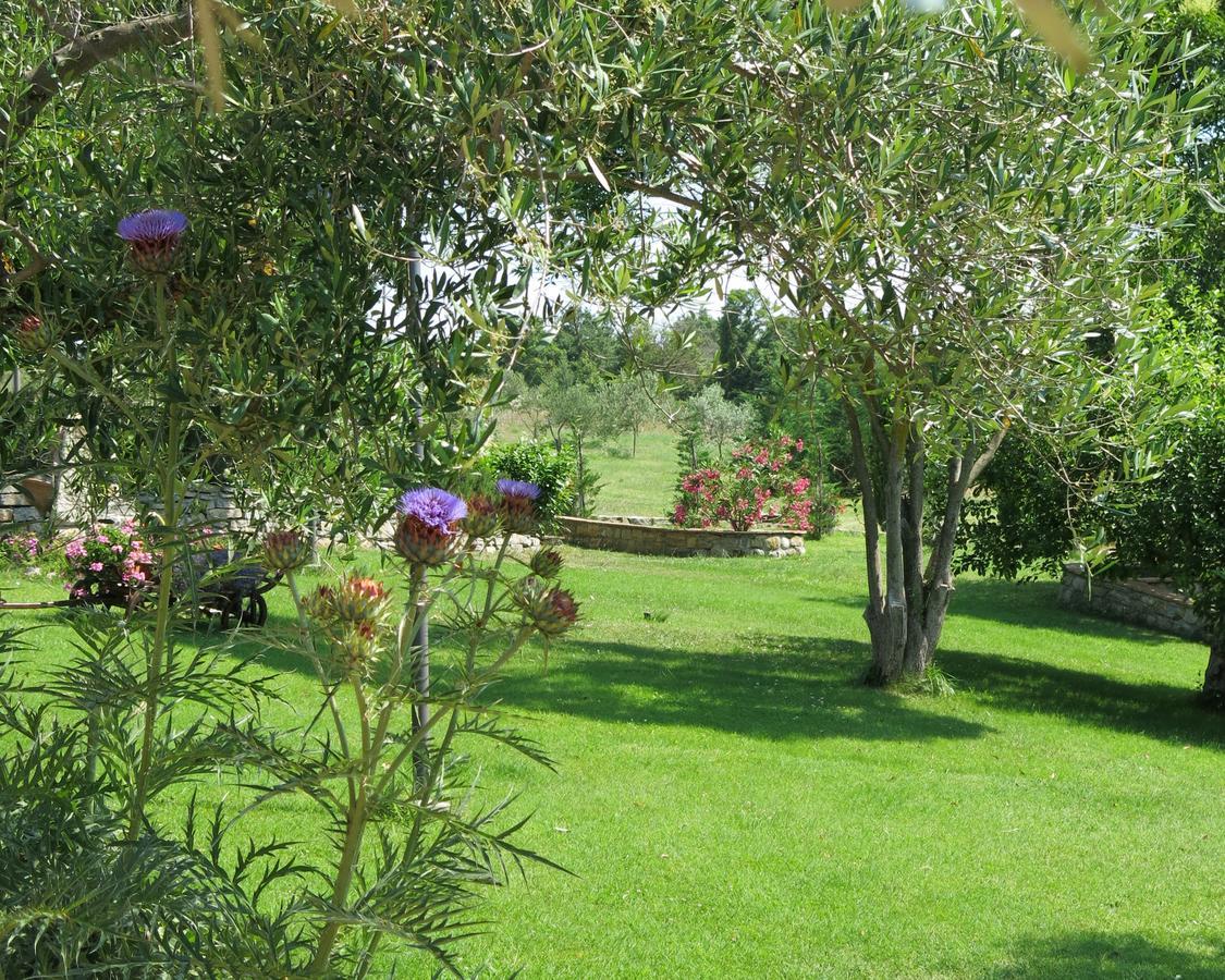 Fonte Magia Bed and Breakfast Castel de' Fiori Exteriör bild