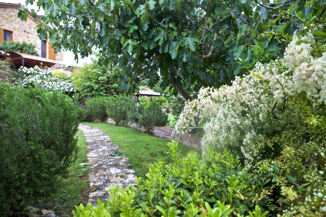 Fonte Magia Bed and Breakfast Castel de' Fiori Exteriör bild